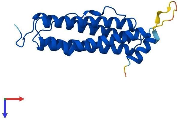 FTL Protein (AA 1-183) (His tag)
