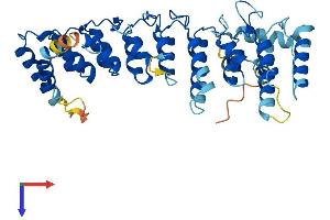ASB6 Protein (AA 1-418) (His tag)