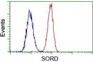 Image no. 1 for anti-Sorbitol Dehydrogenase (SORD) antibody (ABIN1501072)