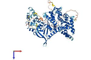 ASTE1 Protein (AA 1-679) (His tag)