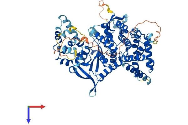 ASTE1 Protein (AA 1-679) (His tag)