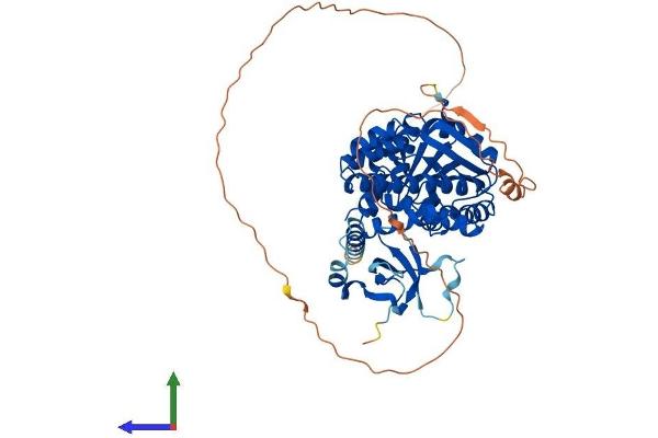 GLYR1 Protein (AA 1-553) (His tag)