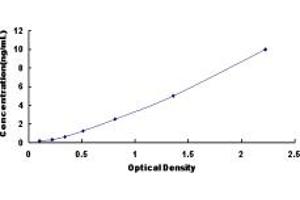 Typical standard curve (AIF ELISA Kit)