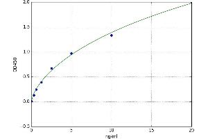 A typical standard curve