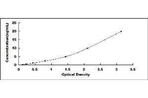 Typical standard curve (CBP ELISA Kit)