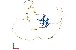 Protein Structure (PS) image for Transducer of ERBB2, 2 (TOB2) (AA 1-345) protein (His tag) (ABIN7561693)