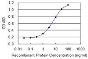 Detection limit for recombinant GST tagged CYLD is 0. (CYLD Antikörper  (AA 854-953))