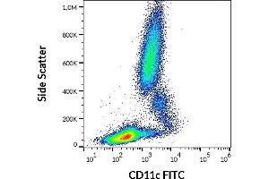 Flow cytometry surface staining pattern of human peripheral whole blood stained using anti-human CD11c (BU15) FITC antibody (20 μL reagent / 100 μL of peripheral whole blood). (CD11c Antikörper  (FITC))