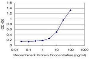Detection limit for recombinant GST tagged FOXO1A is approximately 1ng/ml as a capture antibody. (FOXO1 Antikörper  (AA 556-655))