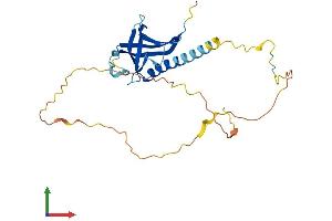 Protein Structure (PS) image for NECAP Endocytosis Associated 1 (NECAP1) (AA 1-275) protein (His tag) (ABIN7549713)