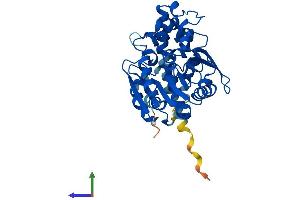 Protein Structure (PS) image for Epoxide Hydrolase 4 (EPHX4) (AA 1-359) protein (His tag) (ABIN7557921)