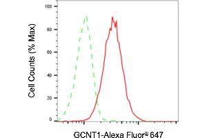Flow cytometric analysis of GCNT1 expression in HAP-1 cells using GCNT1 antibody (ABIN7798732), 1:2,000). (GCNT1 Antikörper)