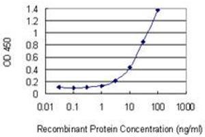 Detection limit for recombinant GST tagged S100A12 is 1 ng/ml as a capture antibody. (S100A12 Antikörper  (AA 1-92))