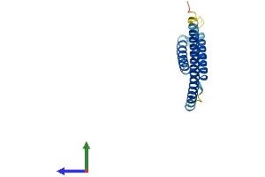 Protein Structure (PS) image for Mediator Complex Subunit 21 (MED21) (AA 1-144) protein (His tag) (ABIN7560509)