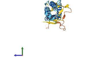 Protein Structure (PS) image for Lipoma HMGIC Fusion Partner-Like 2 (LHFPL2) (AA 1-222) protein (His tag) (ABIN7558539)