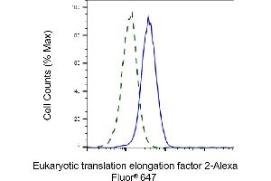 Validation of Eukaryotic translation elongation factor 2 knockdown using flow cytometry. (Rekombinanter EEF2 Antikörper)