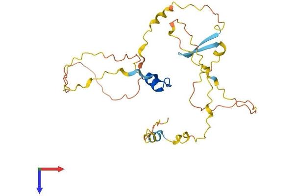 POU2AF1 Protein (AA 1-256) (His tag)