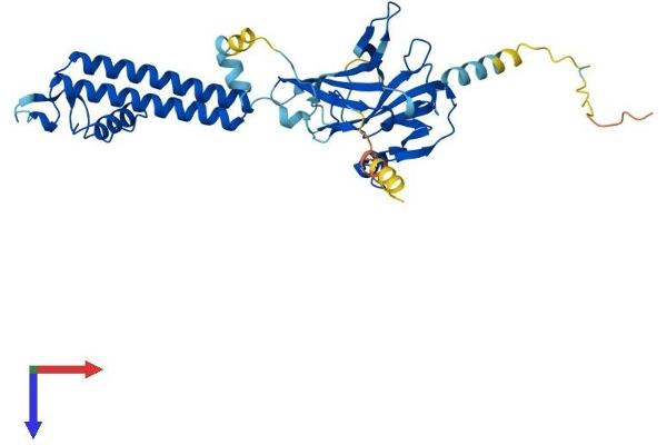 KCNJ1 Protein (AA 1-372) (His tag)