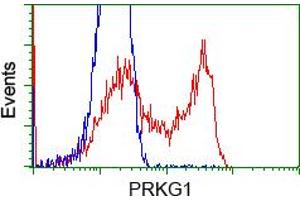 Flow Cytometry (FACS) image for anti-Protein Kinase, CGMP-Dependent, Type I (PRKG1) antibody (ABIN2718495)