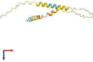 AlphaFold protein structure predicition of Human Recombinant RFPL3S Protein, UniprotID P0C7P2