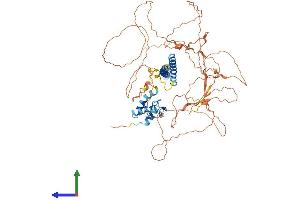 Protein Structure (PS) image for TGF-beta Activated Kinase 1/MAP3K7 Binding Protein 2 (TAB2) (AA 1-693) protein (His tag) (ABIN7544109)