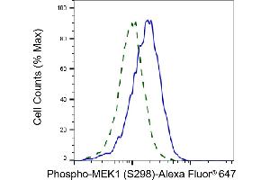 Validation of MEK1 knockdown using flow cytometry. (Rekombinanter MEK1 Antikörper  (pSer298))