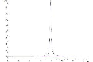 The purity of Mouse Factor H/CFH is greater than 95 % as determined by SEC-HPLC.
