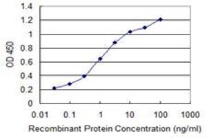 Detection limit for recombinant GST tagged PER2 is 0. (PER2 Antikörper  (AA 1-100))