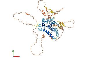 Protein Structure (PS) image for Nuclear Receptor Subfamily 0, Group B, Member 1 (NR0B1) (AA 1-472) protein (His tag) (ABIN7557656)