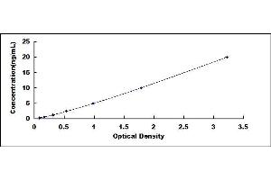 Typical standard curve (AICDA ELISA Kit)