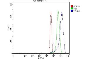 Flow Cytometry analysis of MCF-7 cells using anti-TYK2 antibody (ABIN7602085).