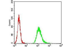 Flow Cytometry (FACS) image for anti-Neurofilament Triplet M Protein (NEFM) (AA 779-916) antibody (ABIN5872897) (NEFM Antikörper  (AA 779-916))