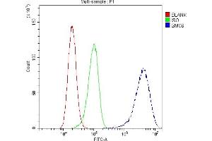 Flow Cytometry analysis of A431 cells using anti-SMC6L1 antibody (ABIN5693133). (SMC6 Antikörper  (AA 205-443))