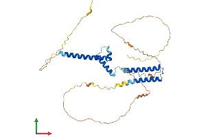 Protein Structure (PS) image for Hairy/enhancer-of-Split Related with YRPW Motif 2 (HEY2) (AA 1-339) protein (His tag) (ABIN7565132)