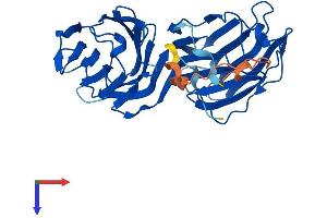 GAL4 Protein (AA 1-326) (His tag)