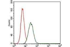 Flow Cytometry (FACS) image for anti-RAP1A, Member of RAS Oncogene Family (RAP1A) antibody (ABIN1108828) (RAP1A Antikörper)