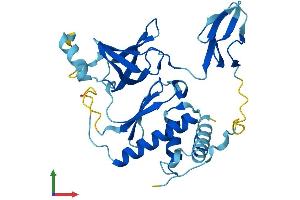 Protein Structure (PS) image for Exosome Component 2 (EXOSC2) (AA 1-293) protein (His tag) (ABIN7564722)