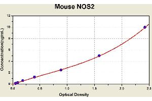 Diagramm of the ELISA kit to detect Mouse NOS2with the optical density on the x-axis and the concentration on the y-axis.