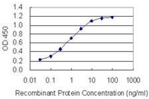 Detection limit for recombinant GST tagged CAGE1 is 0. (CAGE1 Antikörper  (AA 2-100))