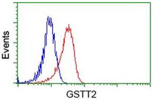 HEK293T cells transfected with either RC200040 overexpress plasmid (Red) or empty vector control plasmid (Blue) were immunostained by anti-GSTT2 antibody (ABIN2453097), and then analyzed by flow cytometry. (GSTT2 Antikörper)