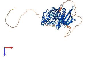 PTPN20 Protein (AA 1-426) (His tag)