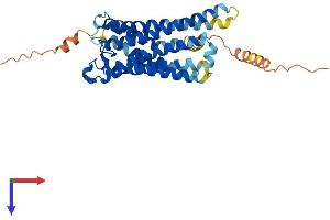 PTGFR Protein (AA 1-359) (His tag)