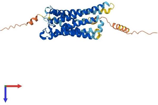 PTGFR Protein (AA 1-359) (His tag)