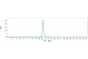 The purity of Anti-CSF2Rb / CD131 Reference Antibody (CSL311) is 98.