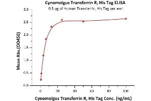 ELISA image for Transferrin Receptor (p90, CD71) (TFRC) (AA 89-760) (Active) protein (His tag) (ABIN6253573)