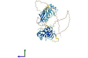 Protein Structure (PS) image for Polypyrimidine Tract Binding Protein 3 (PTBP3) (AA 1-523) protein (His tag) (ABIN7558631)