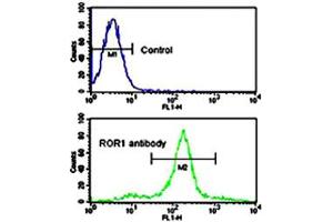Flow cytometric analysis of NCI-H460 cells using ROR1 polyclonal antibody (bottom histogram) compared to a negative control cell (top histogram). (ROR1 Antikörper  (AA 112-399))