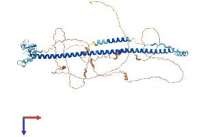 TRIM29 Protein (AA 1-588) (His tag)