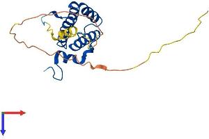 GFER Protein (AA 1-198) (His tag)