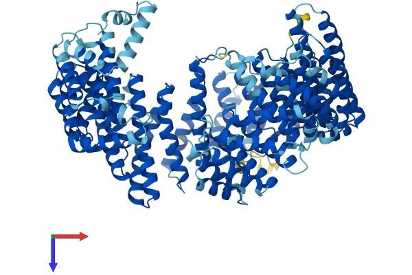 XPOT Protein (AA 1-962) (His tag)